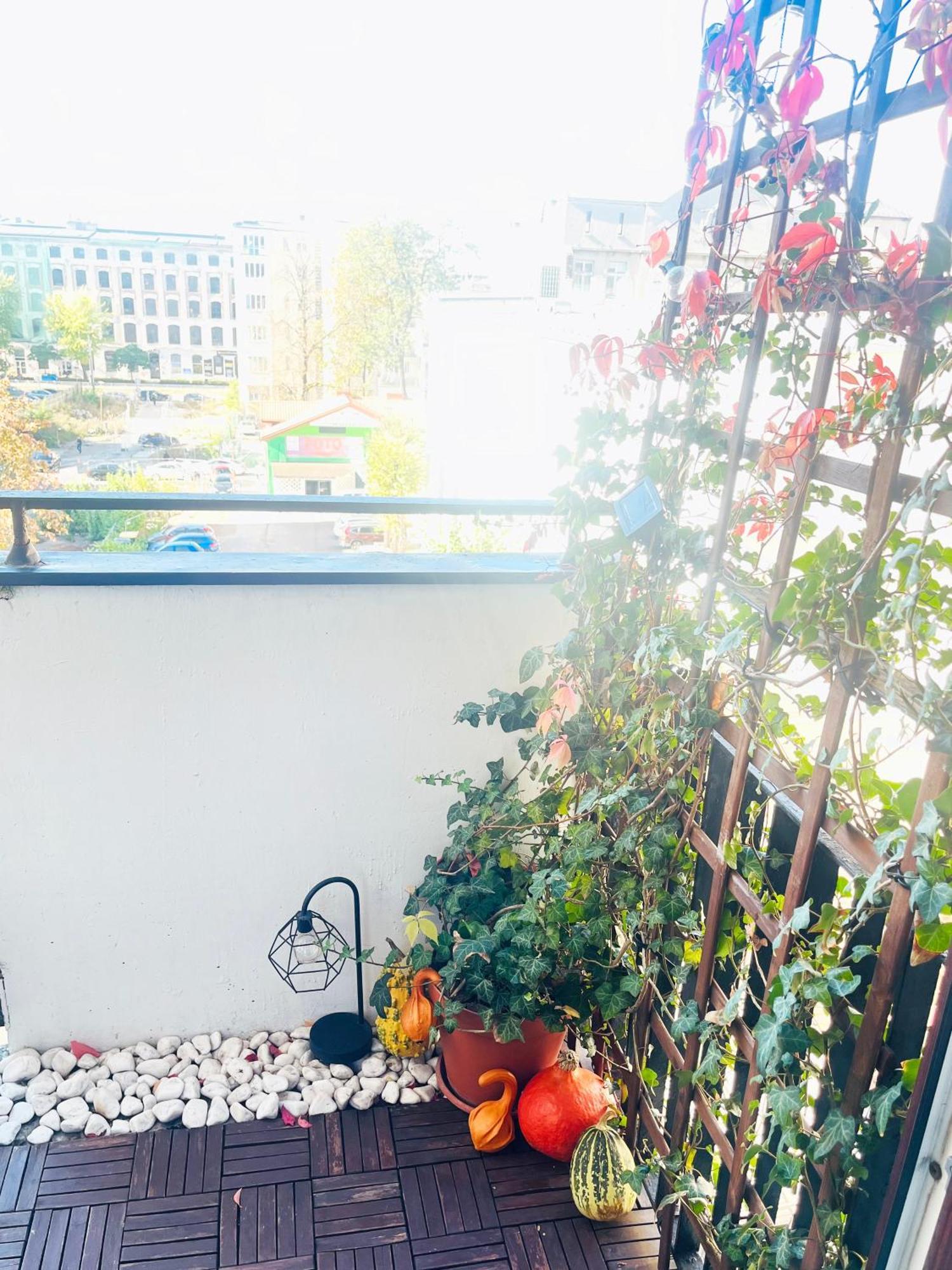 Apartament I Love Piotrkowska Z Wielkim Lustrem, Balkonem I Klimatyzacja Łódź Exteriör bild